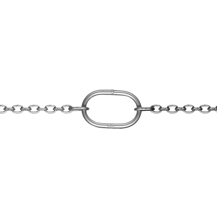Detailed view of the pump chain's robust core